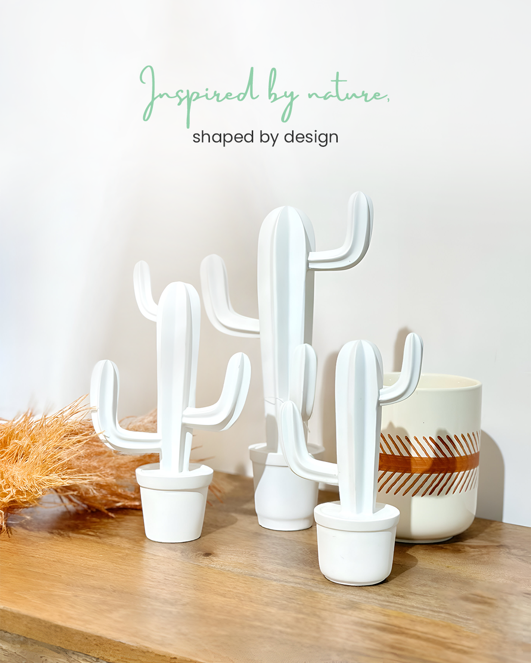 Artistic cactus set