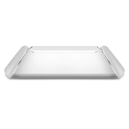Silver Shiny Polished Finish